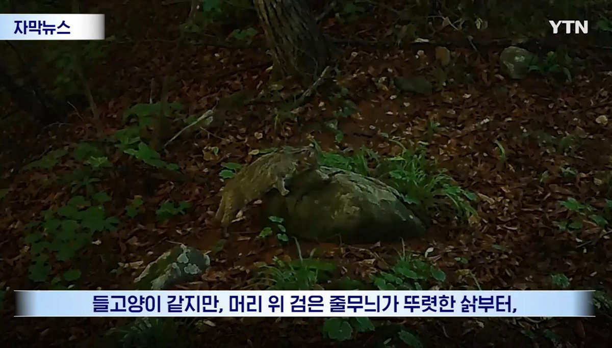 수십억 들여 숲 사놓고 아무것도 안 한 이유.news