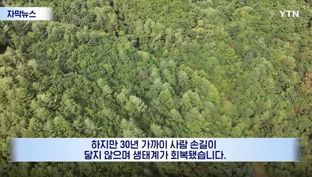 수십억 들여 숲 사놓고 아무것도 안 한 이유.news