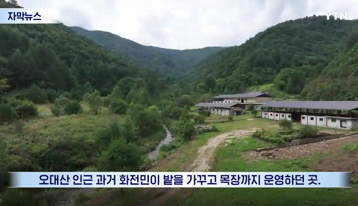 수십억 들여 숲 사놓고 아무것도 안 한 이유.news