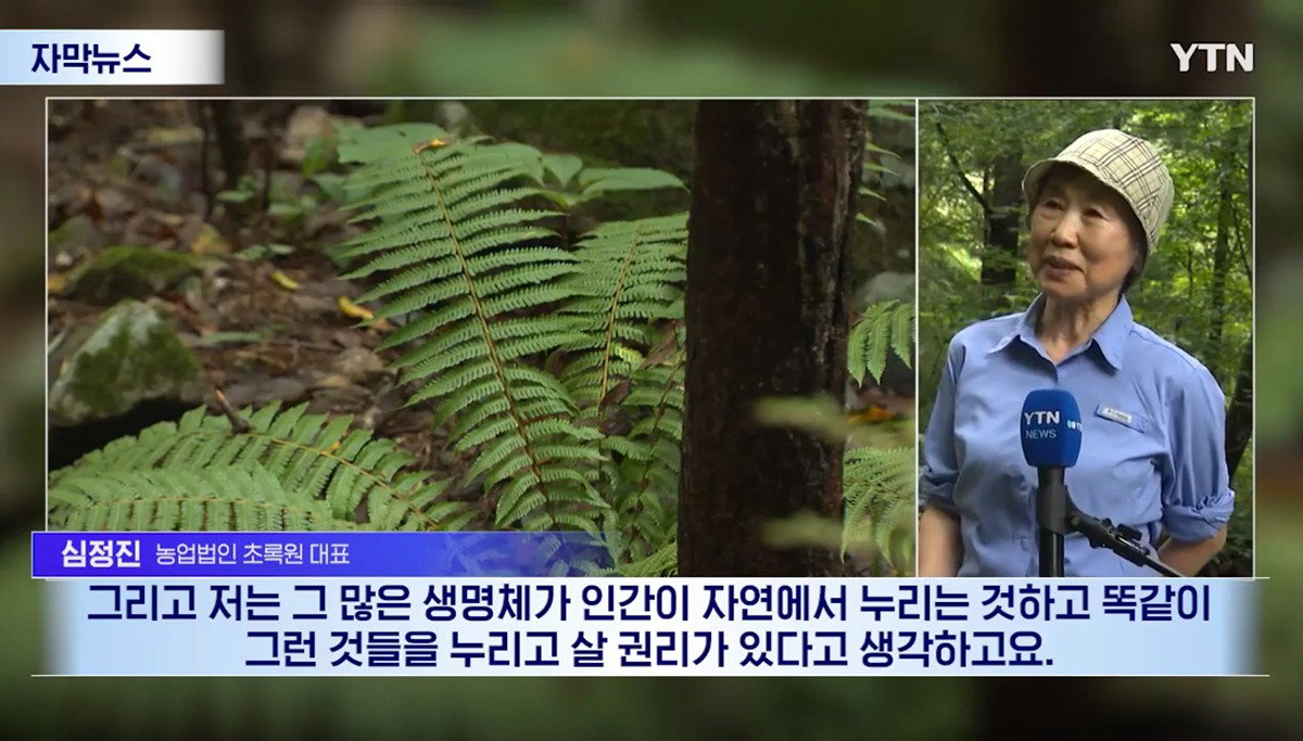 수십억 들여 숲 사놓고 아무것도 안 한 이유.news