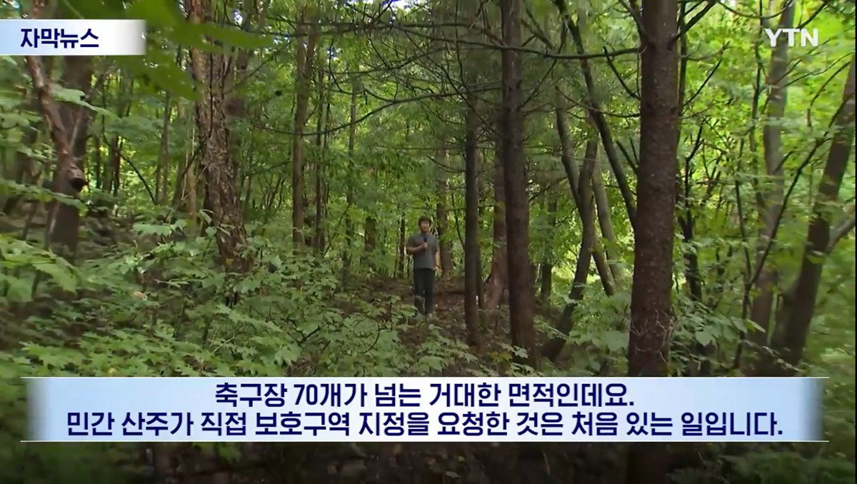 수십억 들여 숲 사놓고 아무것도 안 한 이유.news