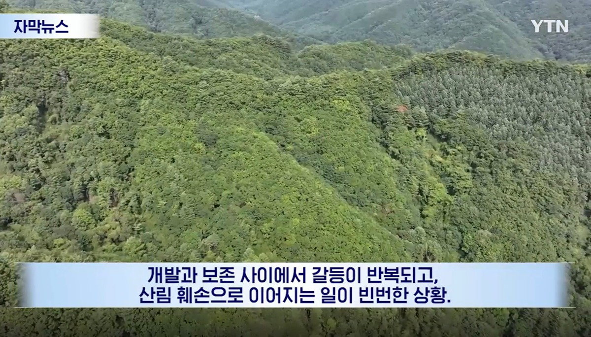 수십억 들여 숲 사놓고 아무것도 안 한 이유.news