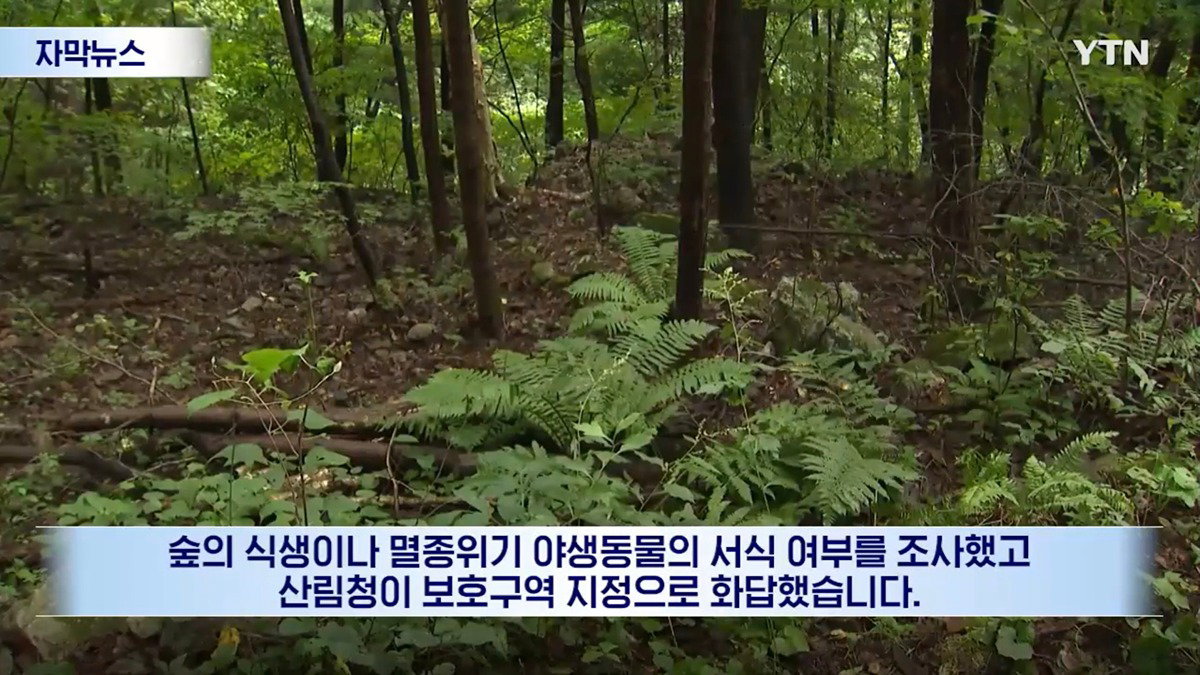 수십억 들여 숲 사놓고 아무것도 안 한 이유.news