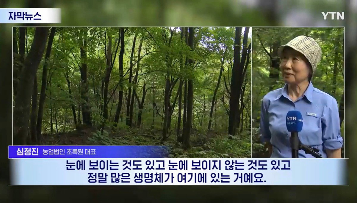 수십억 들여 숲 사놓고 아무것도 안 한 이유.news