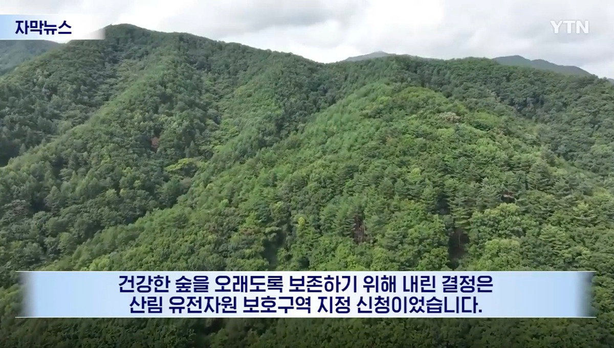 수십억 들여 숲 사놓고 아무것도 안 한 이유.news