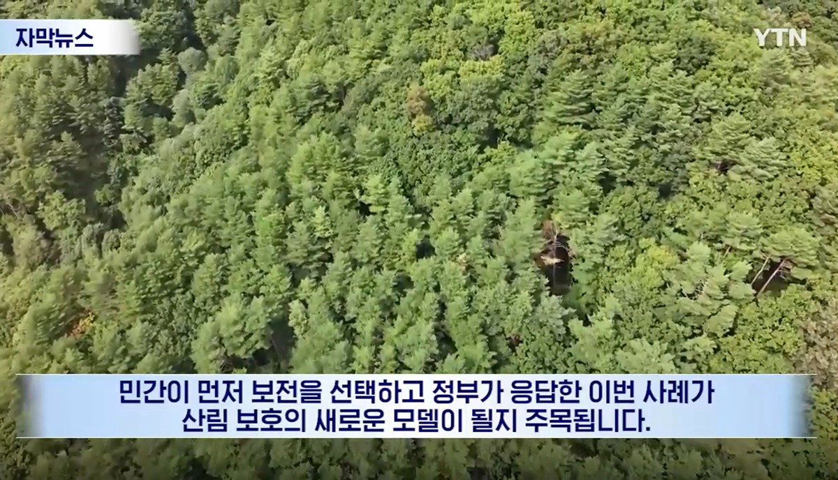 수십억 들여 숲 사놓고 아무것도 안 한 이유.news