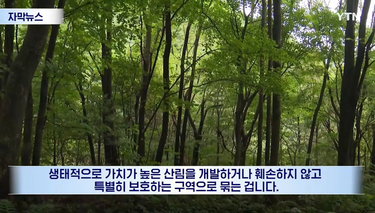 수십억 들여 숲 사놓고 아무것도 안 한 이유.news