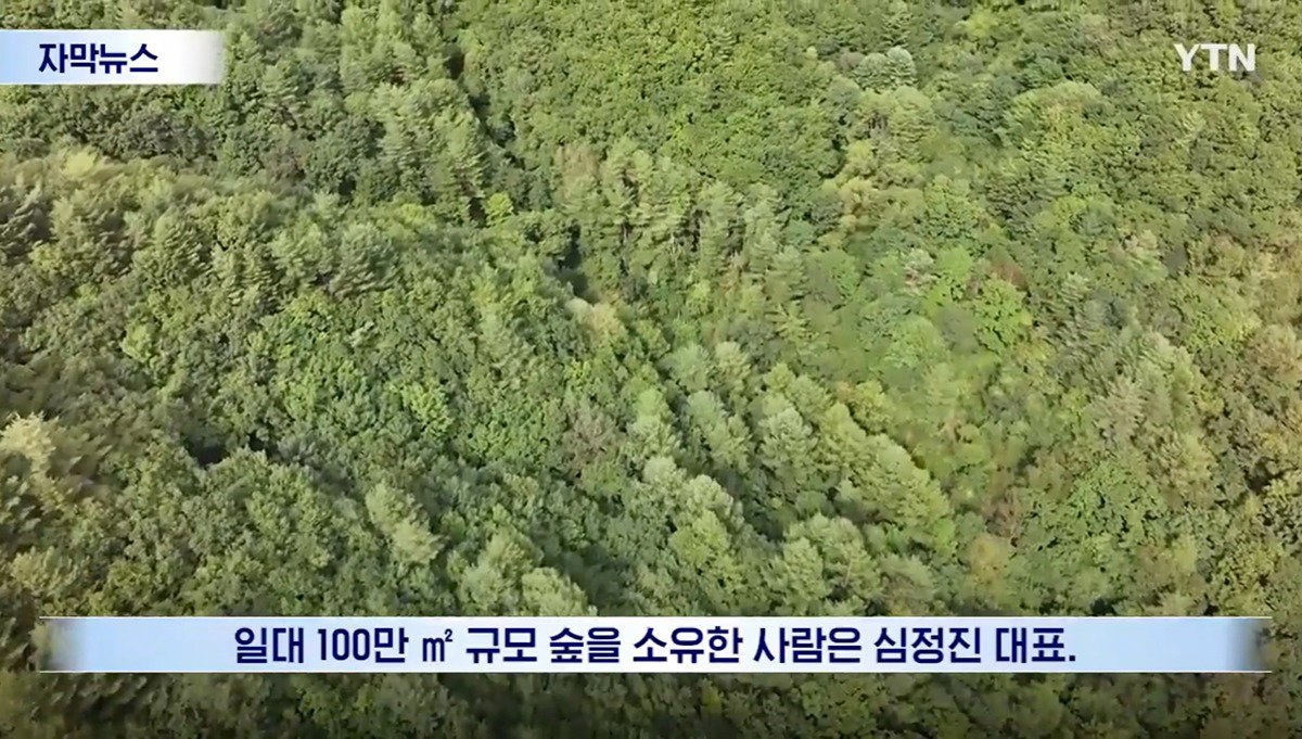 수십억 들여 숲 사놓고 아무것도 안 한 이유.news