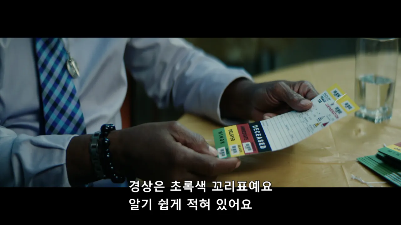 [스압] 9/11 테러 당시 환자분류 담당자가 시달린 PTSD
