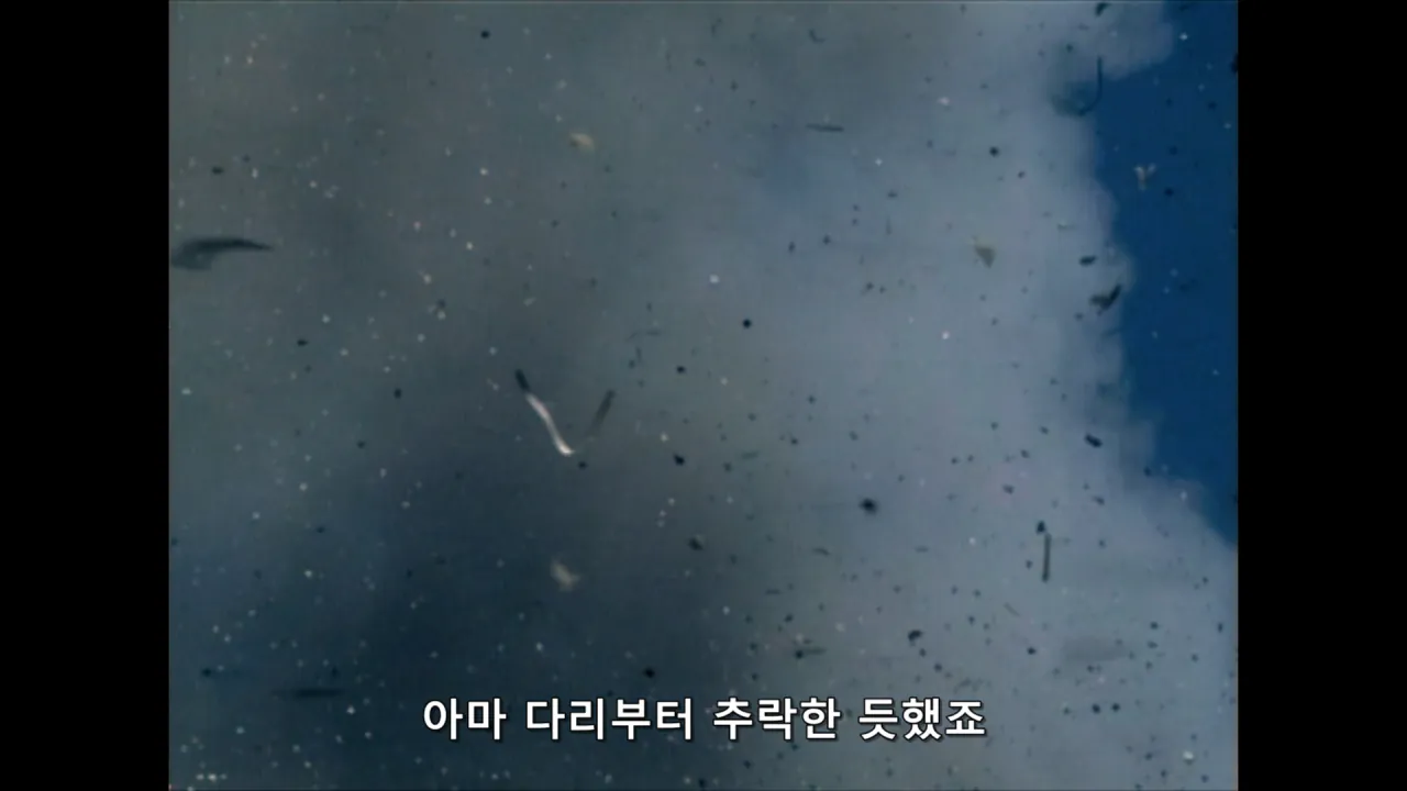 [스압] 9/11 테러 당시 환자분류 담당자가 시달린 PTSD