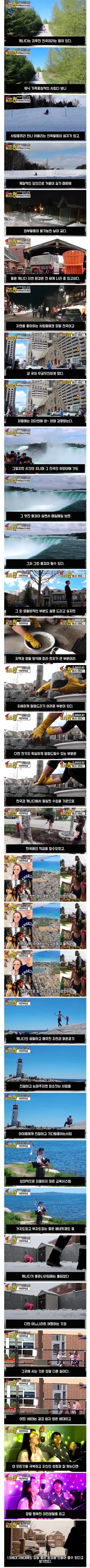 스압 캐나다로 이민 간 한국인이 다시 돌아온 이유