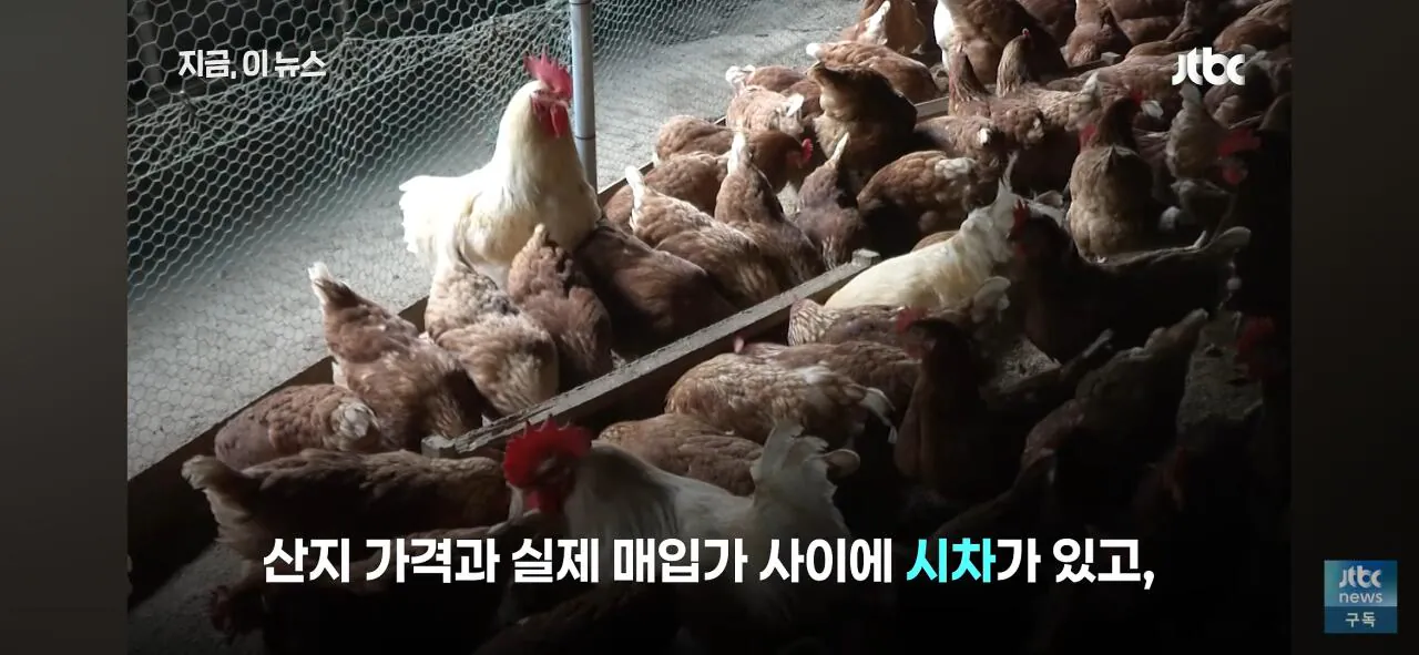 닭값 떨어지니 눈치싸움중인 업계