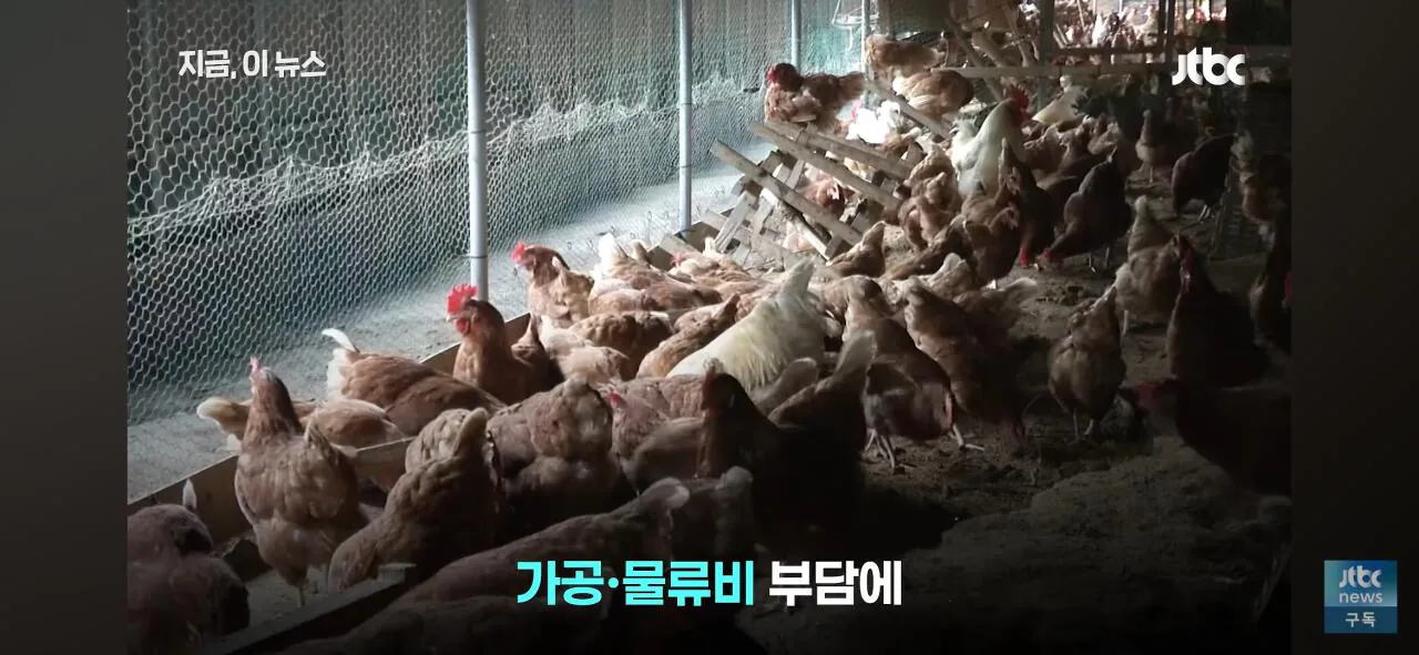 닭값 떨어지니 눈치싸움중인 업계
