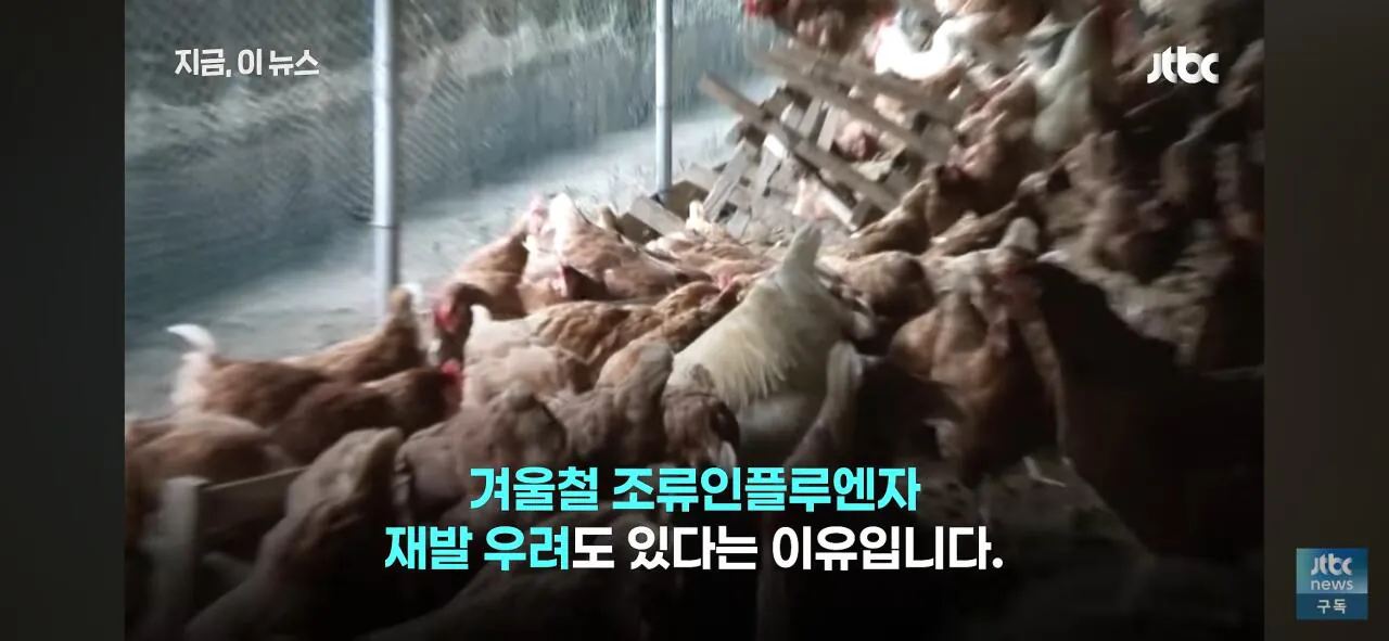 닭값 떨어지니 눈치싸움중인 업계