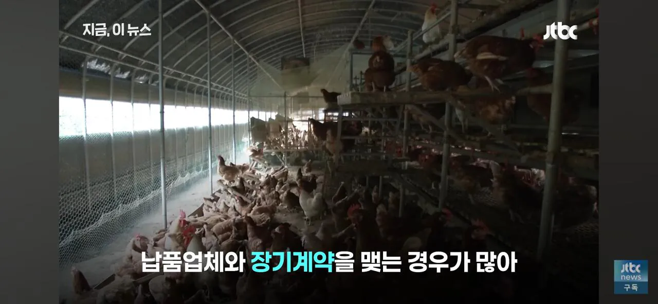 닭값 떨어지니 눈치싸움중인 업계