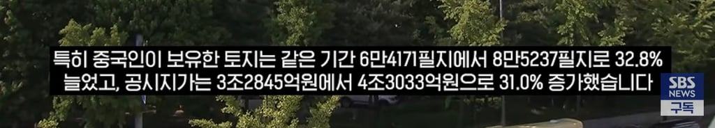 고가주택 '이상 거래' 절반이 중국인..국내 대출 막자 외국인 들어왔다