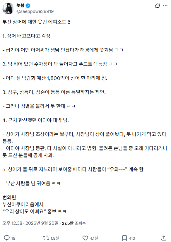 계속되고 있는 부산 상어쇼 엄청난 효과