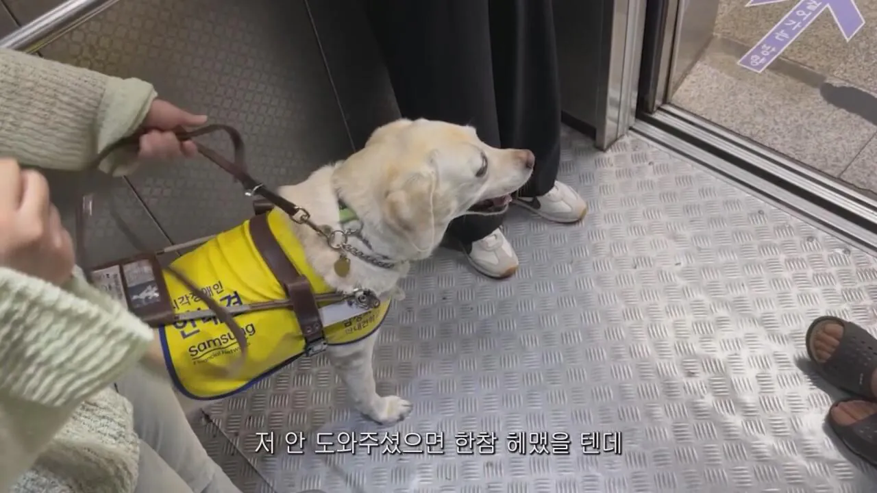 동생들 떡볶이 사주려 직접 사러간 시각장애인 누나