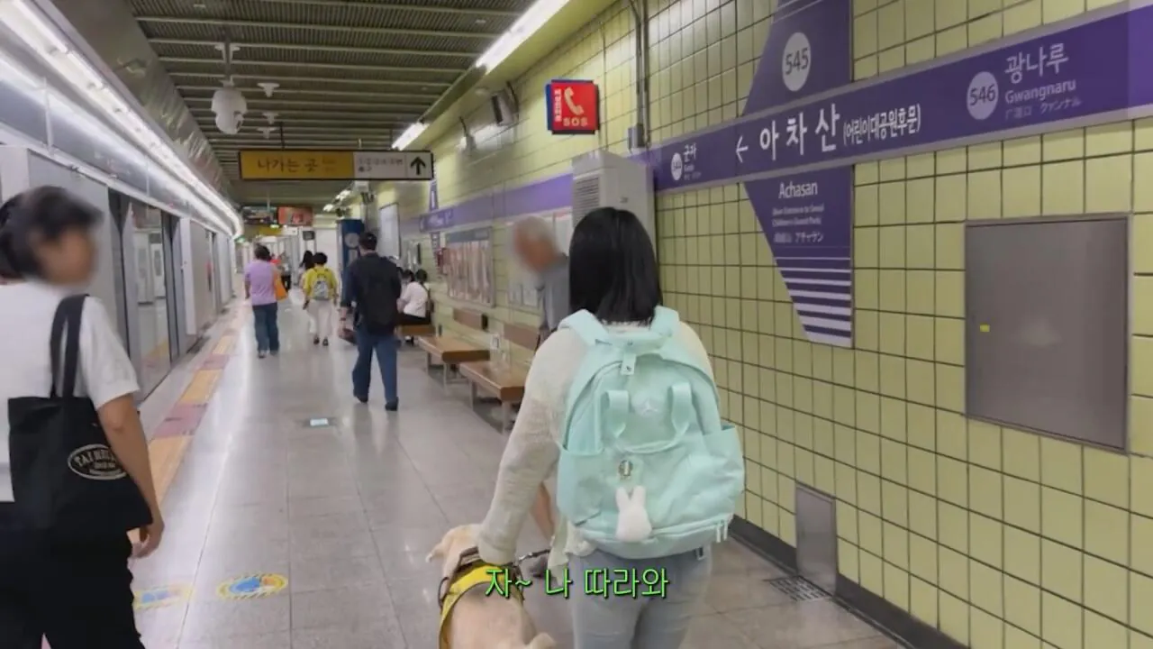 동생들 떡볶이 사주려 직접 사러간 시각장애인 누나