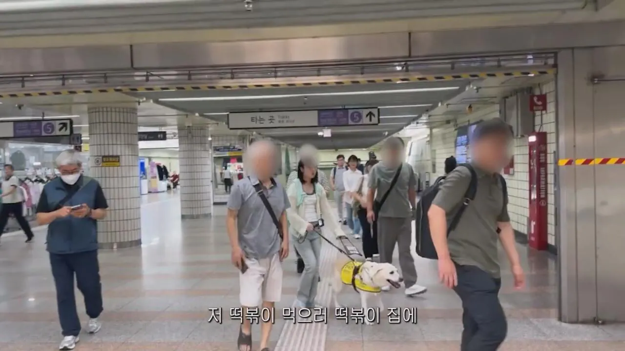 동생들 떡볶이 사주려 직접 사러간 시각장애인 누나