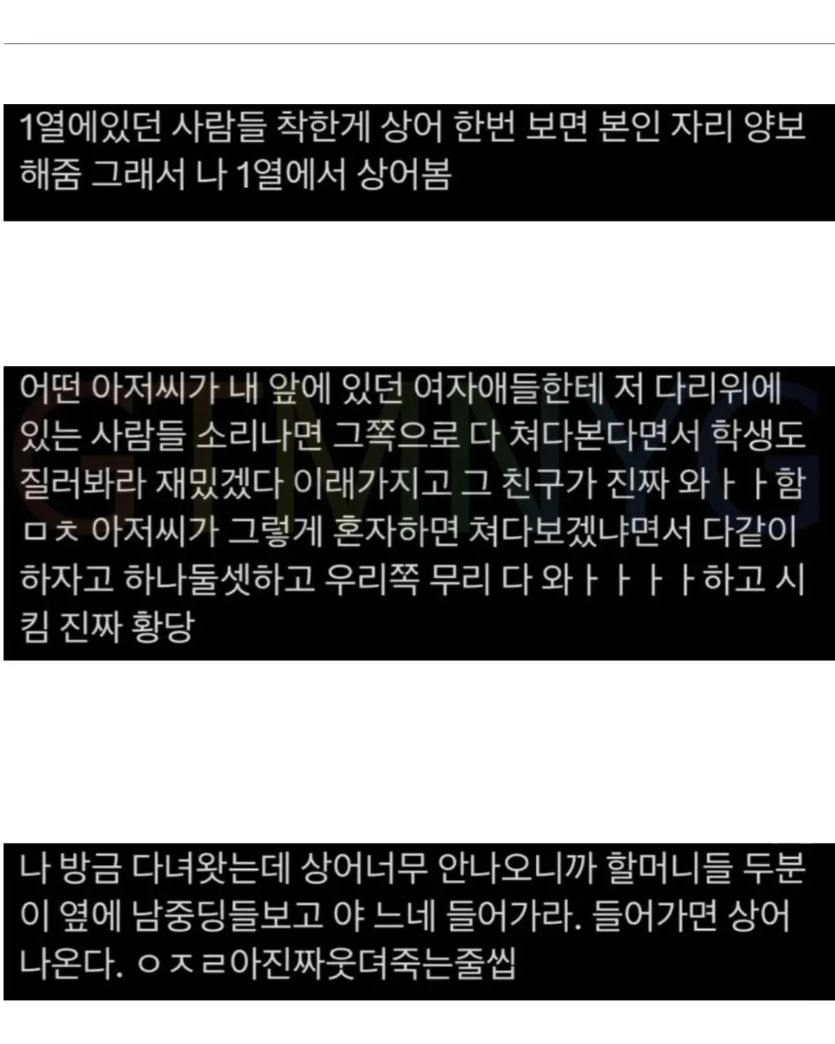 대환장 파티라는 부산 상어쇼 현장 썰
