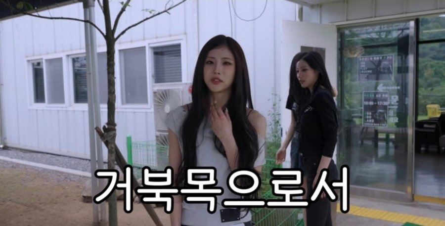 거북이랑 대화 가능한 이유가 거북목이라는 아이돌