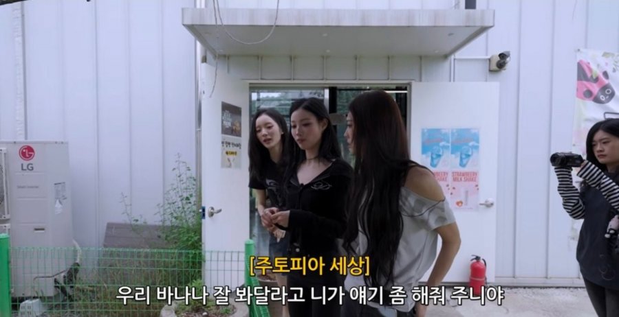 거북이랑 대화 가능한 이유가 거북목이라는 아이돌