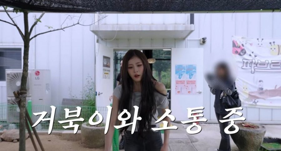 거북이랑 대화 가능한 이유가 거북목이라는 아이돌