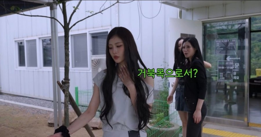 거북이랑 대화 가능한 이유가 거북목이라는 아이돌