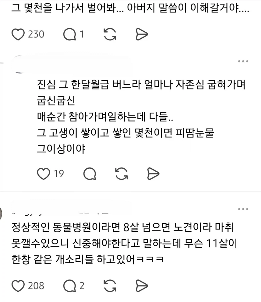 싱글벙글 노견 수천만원 드는 수술은 안 시킨다는 아버지
