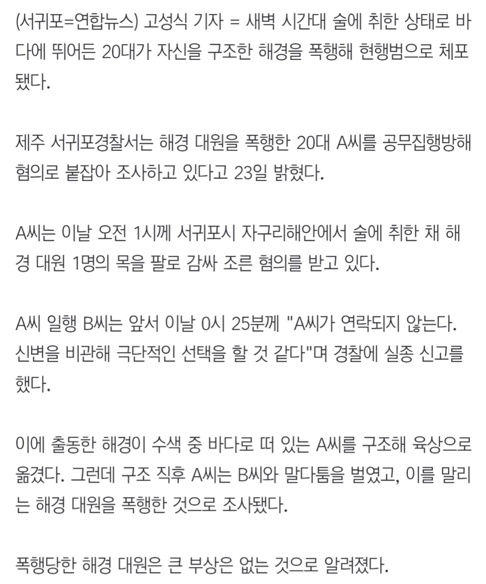 술 취해 바다 뛰어든 20대, 구조한 해경 폭행…현행범 체