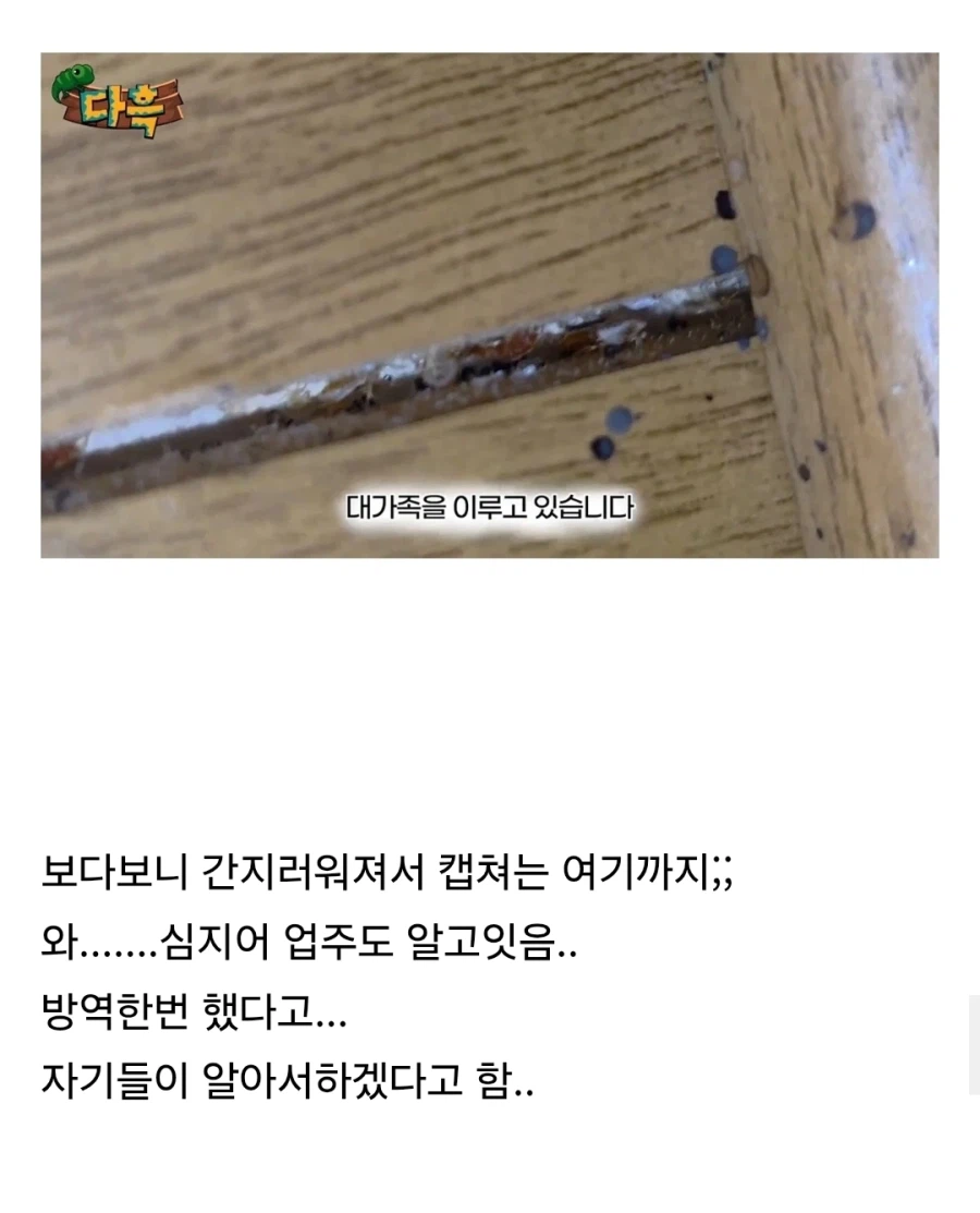 부산 찜질방 빈대 이슈 업로드한 유튜버 다흑
