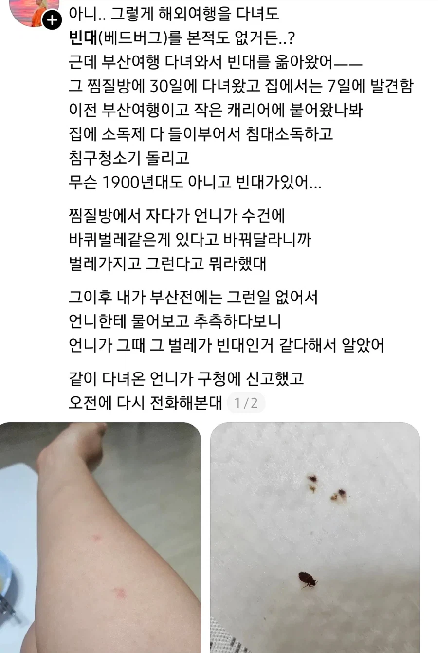 부산 찜질방 빈대 이슈 업로드한 유튜버 다흑