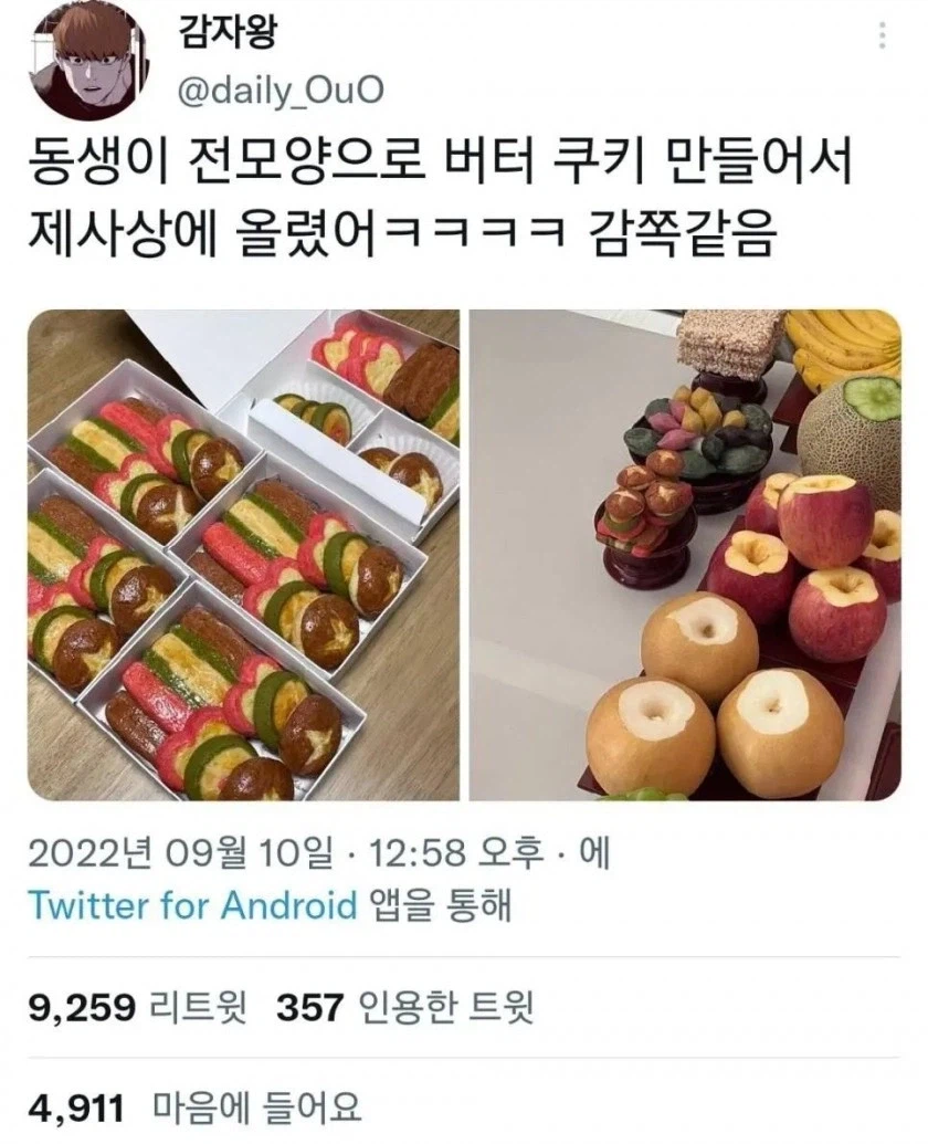 MZ력 충만한 요즘 제사???