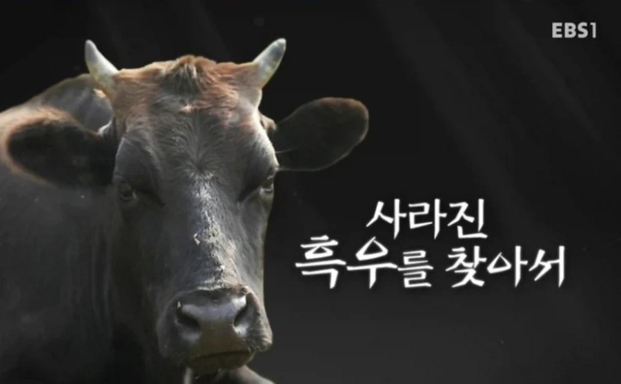 여친이 미국 여군인데.blind