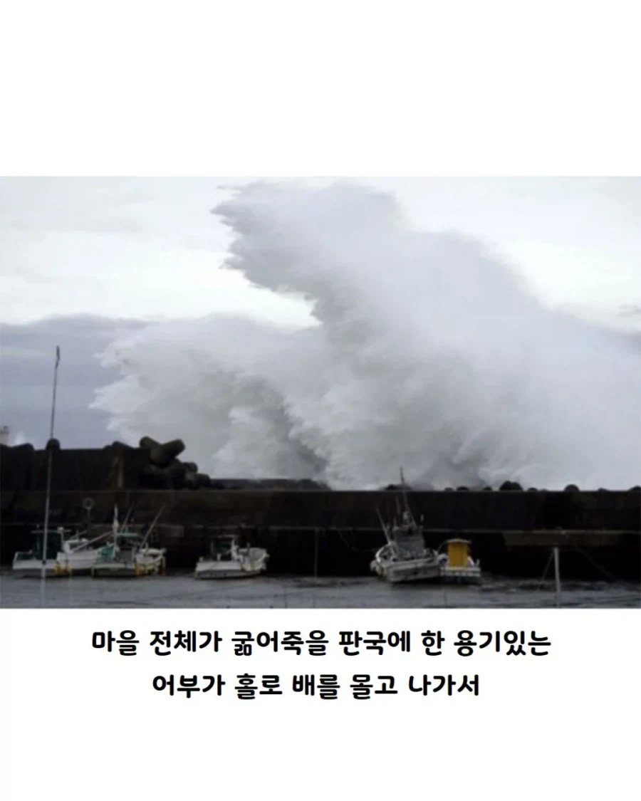 영국 정어리 파이의 진실