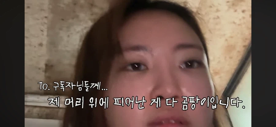 리뷰 1점대 고시원 살아보기 시도하는 여자 유튜버