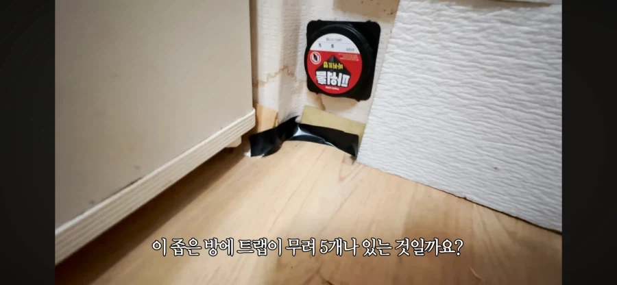 리뷰 1점대 고시원 살아보기 시도하는 여자 유튜버