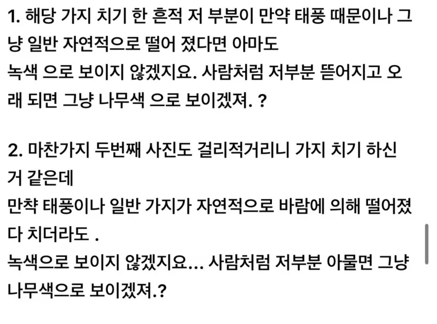예쁜 새 사진에 태클거는 사람