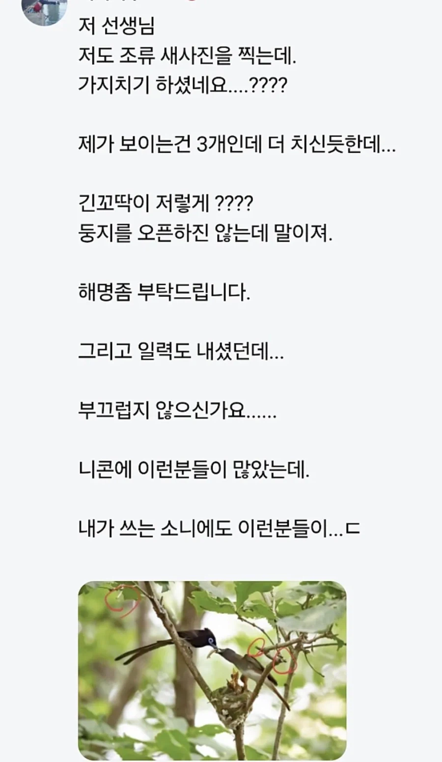 예쁜 새 사진에 태클거는 사람