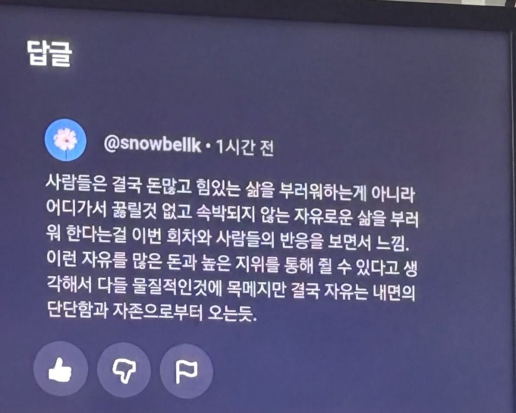 나혼산 [김민] 편 영상에 올라온 인상적인 댓글