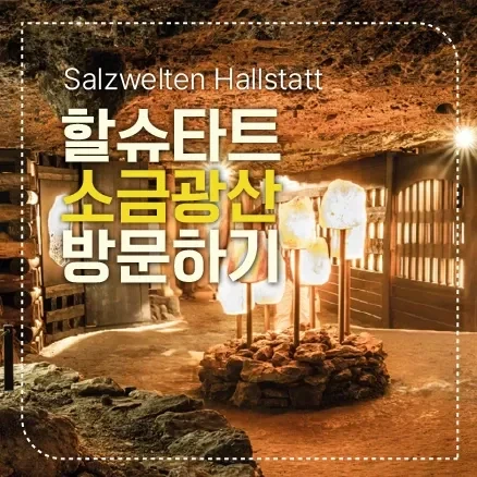 소금 한줌 안나오는 나라가 소금 수출국이 된 이유