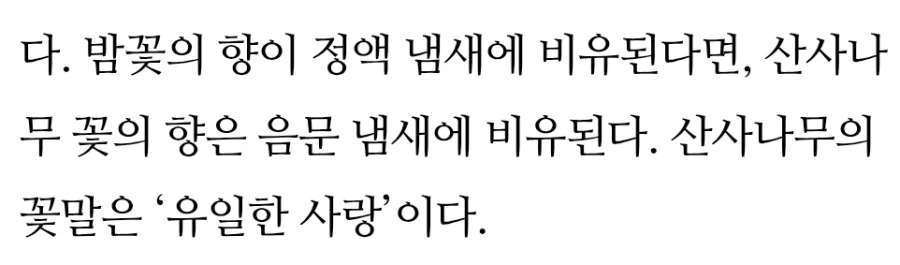 개인적으론 TS 말포이는 절대 해리랑 결혼 못 했으면 좋겠다