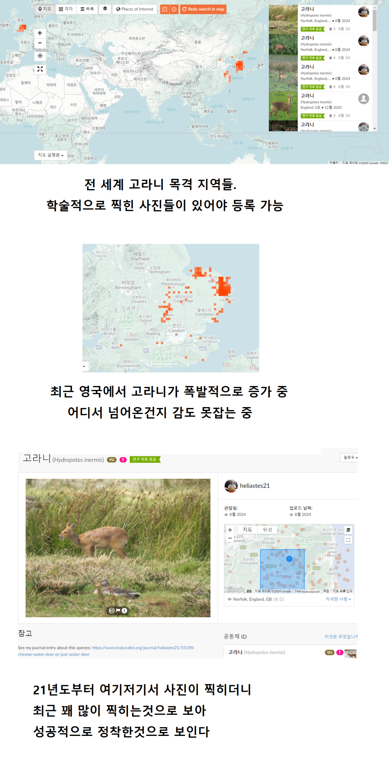 한국, 중국에서만 살던 고라니 근황 ㄷㄷ