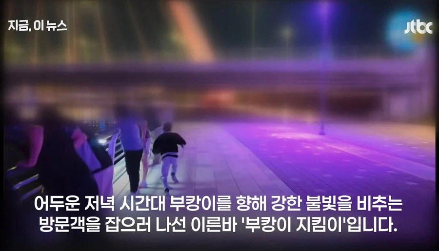 이것마저 역시 부산답다는 말 나오는 부캉이 방범대...