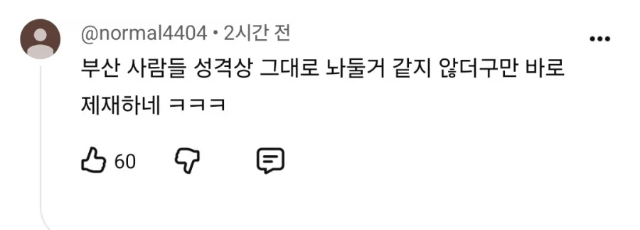 이것마저 역시 부산답다는 말 나오는 부캉이 방범대...