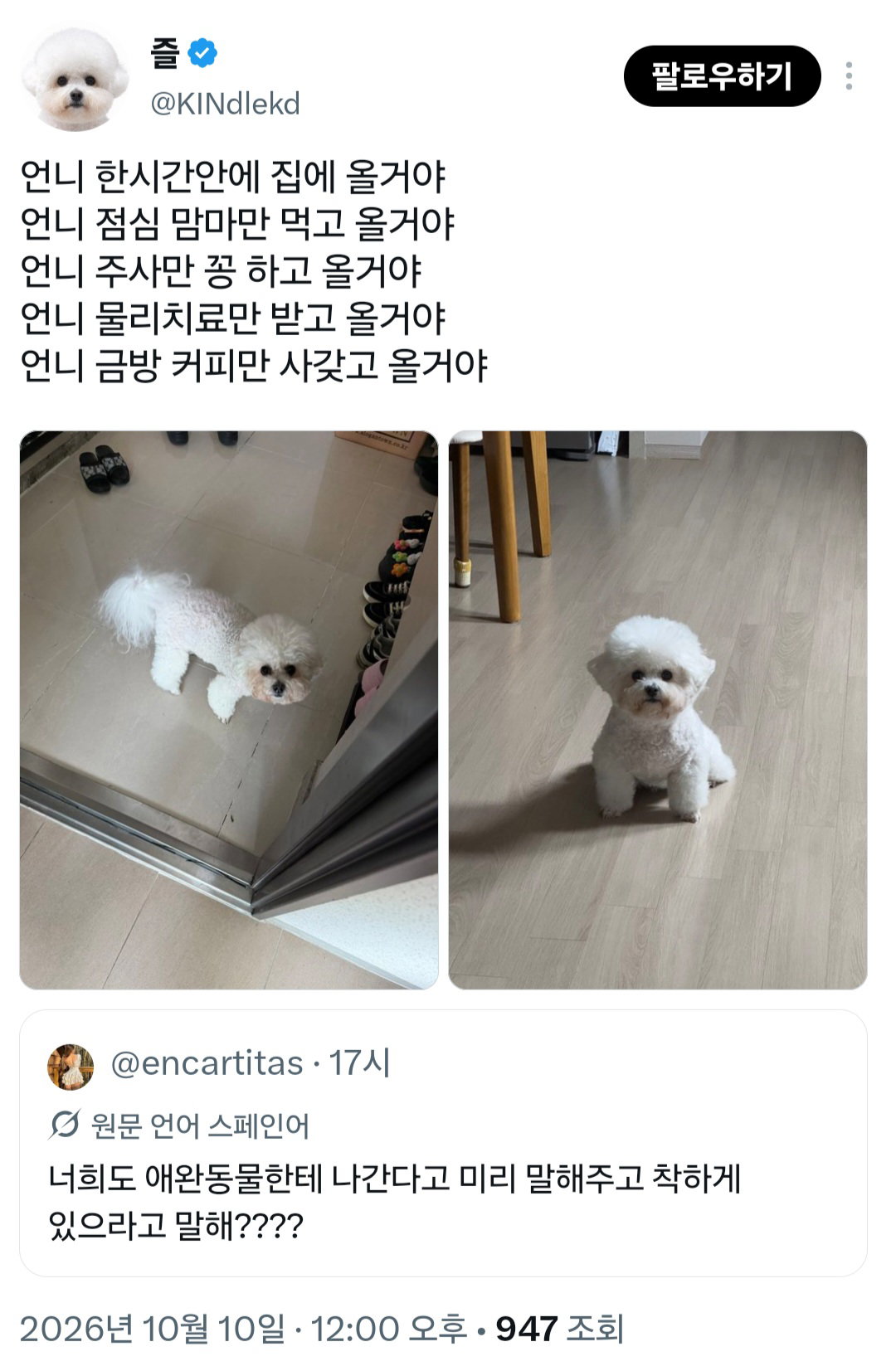 너희도 반려동물한테 나간다고 미리 말해주고 착하게 있으라고 말해????