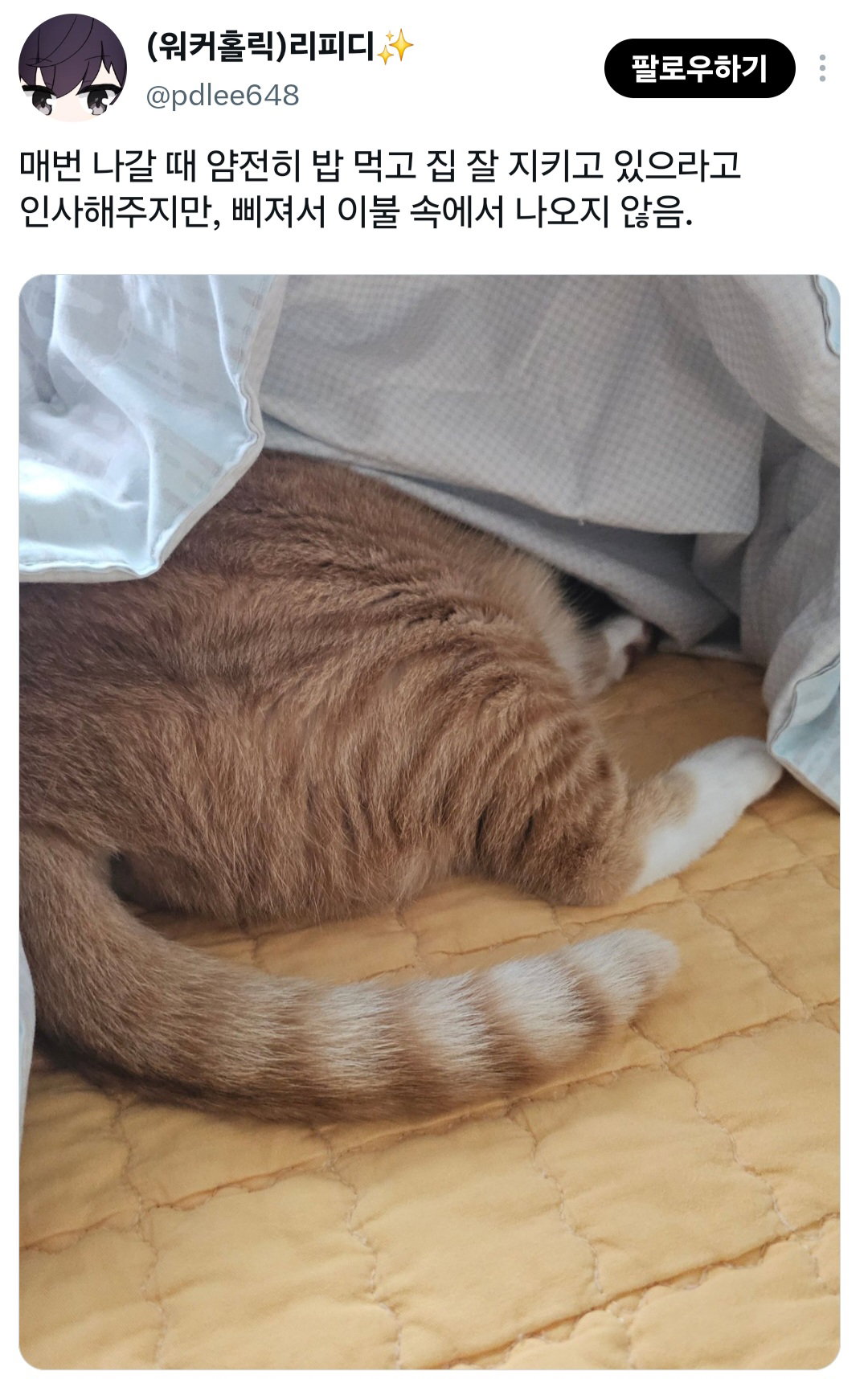 너희도 반려동물한테 나간다고 미리 말해주고 착하게 있으라고 말해????