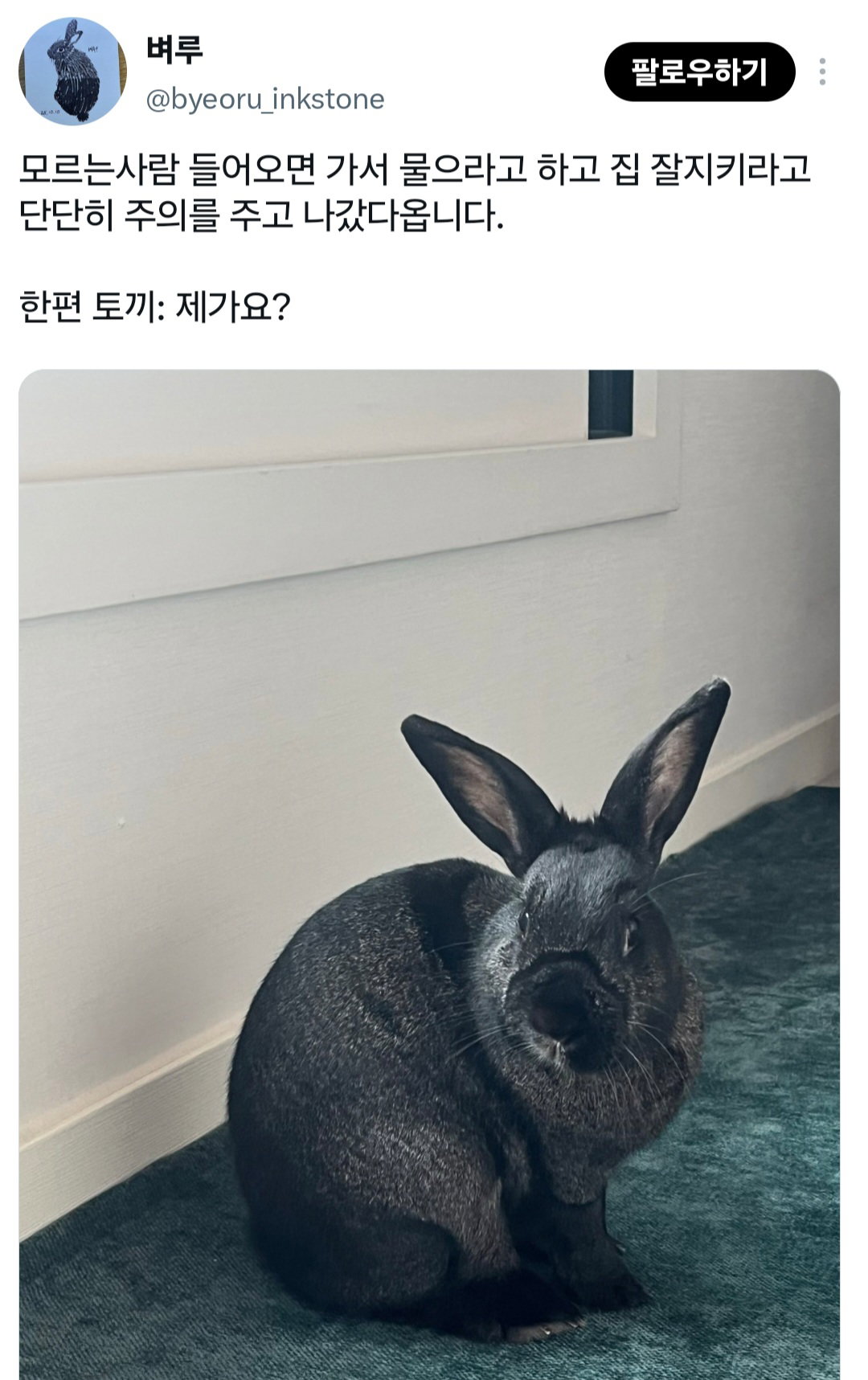 너희도 반려동물한테 나간다고 미리 말해주고 착하게 있으라고 말해????