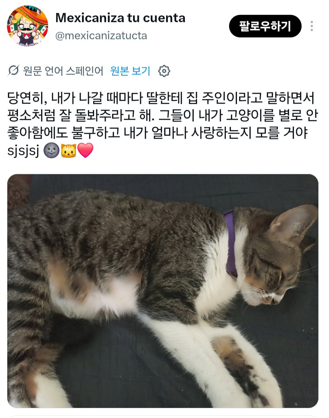 너희도 반려동물한테 나간다고 미리 말해주고 착하게 있으라고 말해????